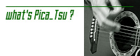 what's picatsu ?